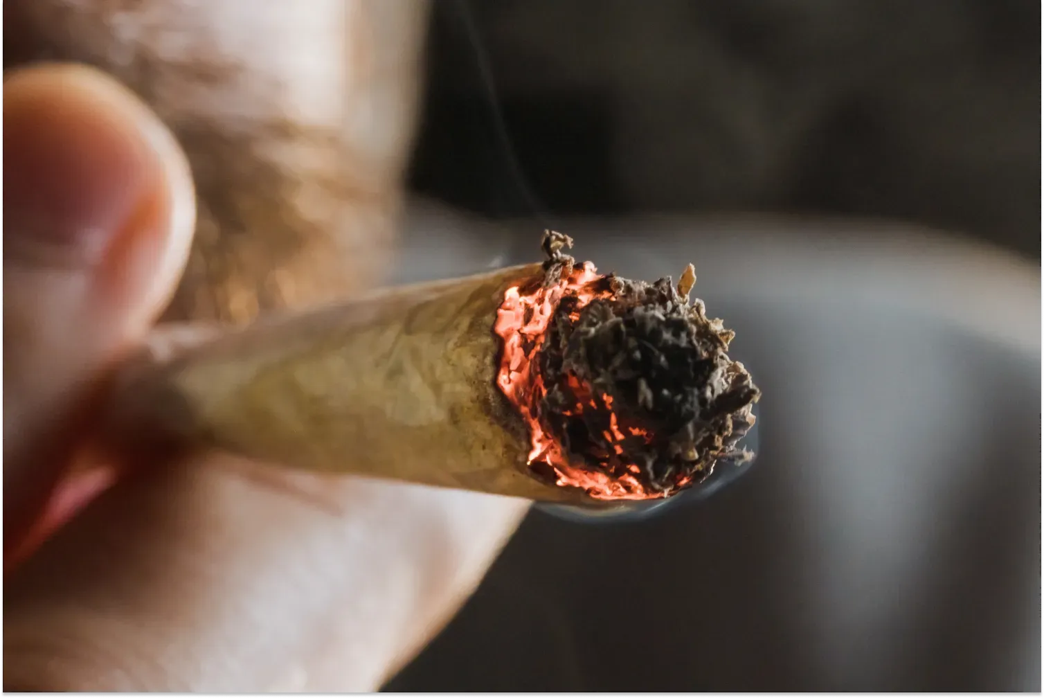 Cover image for Can You Overdose on Weed? How Much Is Too Much?